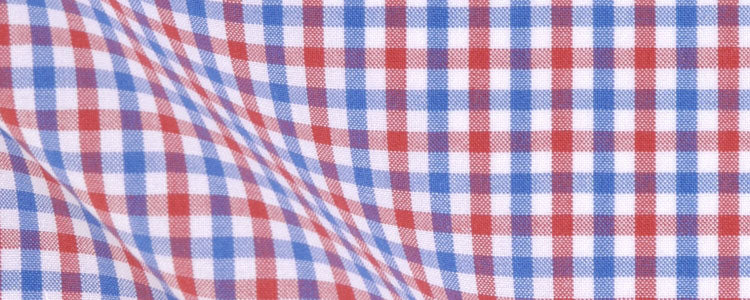 Red/Blue Mini Gingham Broadcloth