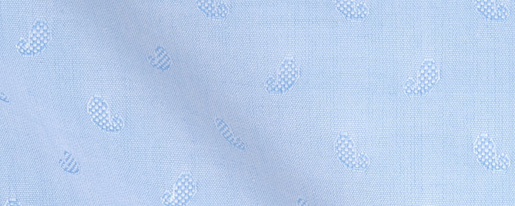 Light Blue Paisley Jacquard