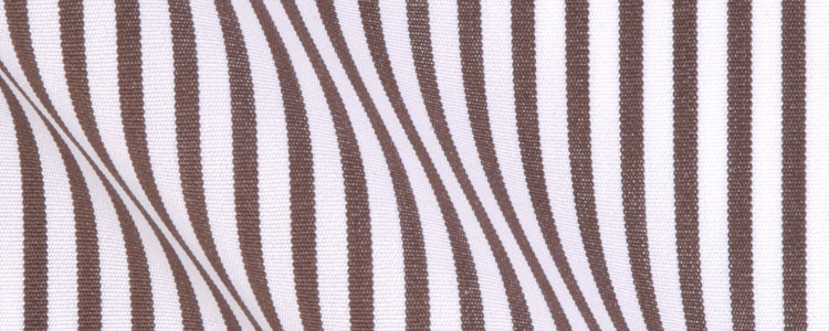 Brown University Stripe Broadcloth | 120/2