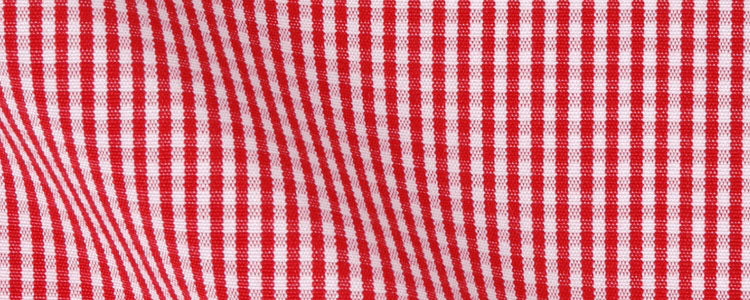 Red Mini Gingham Two Ply Broadcloth