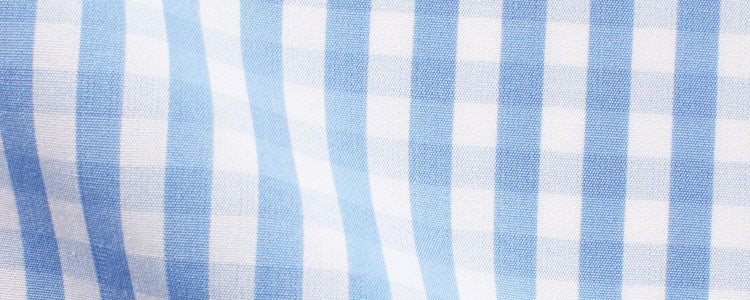 Blue Gingham