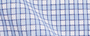 White Twill/Blue Border Graph Check | 90/2