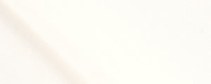 Ecru Two Ply Broadcloth | 100/2