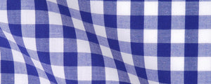 Blue Gingham Broadcloth