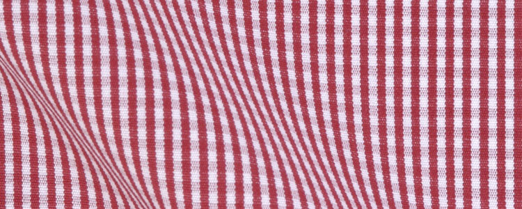 Red Mini Gingham Broadcloth | 120/2