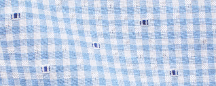 Blue Mini Gingham Broadcloth Fil Coupe'