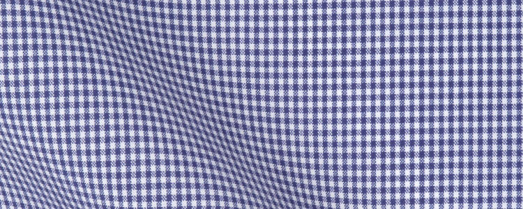 Blue Micro Gingham Check Broadcloth