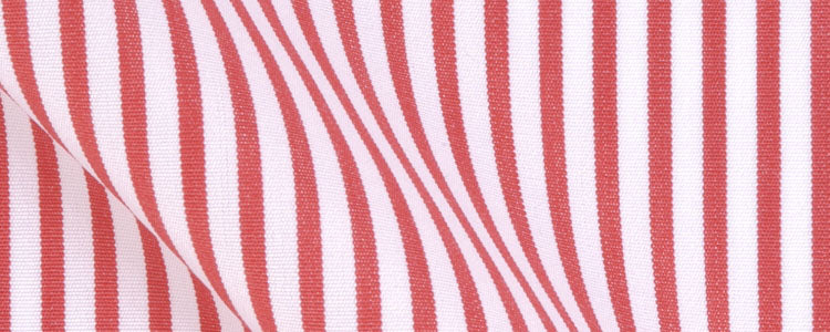 Red University Stripe Broadcloth | 120/2