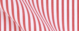 Red University Stripe Broadcloth | 120/2