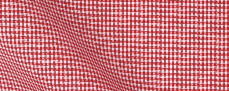 Red Micro Gingham Check Broadcloth