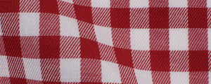 Red Gingham Twill Easy Wear | Easy Care