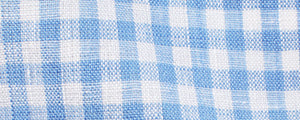 Blue Gingham Linen