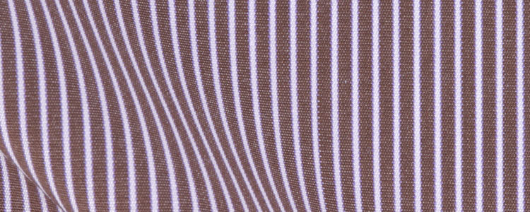 Brown Reverse Border Stripe Two Ply Broadcloth