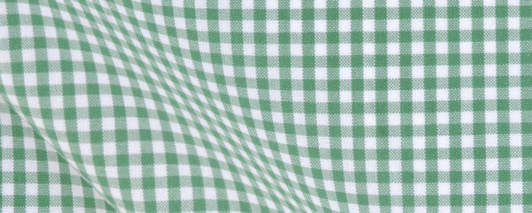 Green Mini Gingham Broadcloth