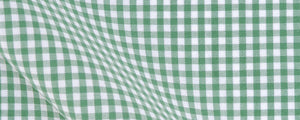 Green Mini Gingham Broadcloth