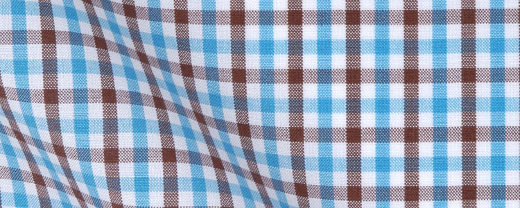 Turquoise/Brown Mini Gingham Broadcloth