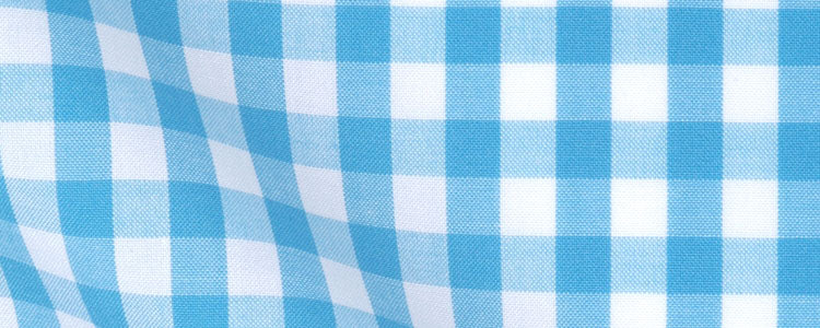 Turquoise Gingham Broadcloth