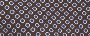 Brown Abstract Print Broadcloth