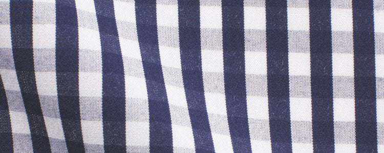 Navy Gingham