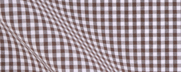 Brown Mini Gingham Broadcloth