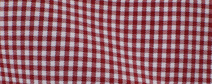 Red Micro Gingham Twill