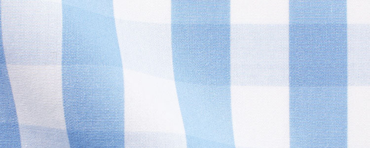 Blue Large Gingham