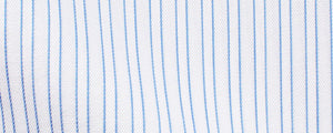 White/Blue Double Stripe