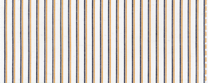 Broadcloth | 100% Compact Yarns Cotton | Tan/Navy Double Stripe