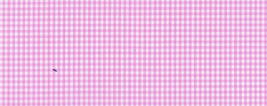 Broadcloth | Two Ply 100% Cotton | Pink Gingham