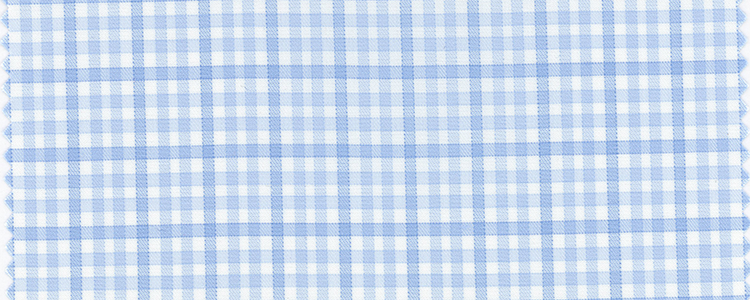 Twill | Wrinkle Free 100's | 100% Cotton | Blue Plaid