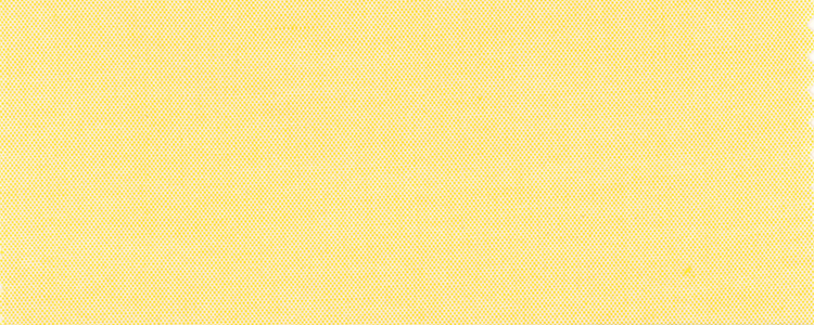 Pinpoint Oxford | Two Ply 100% Cotton | Yellow