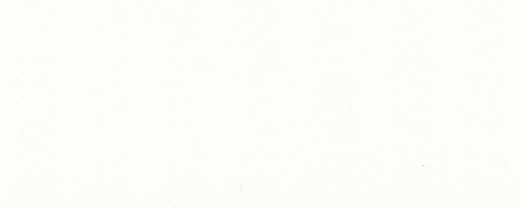 Herringbone | 80x80 | 100% Pima Cotton | White