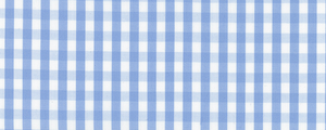 Broadcloth | Two Ply 100% Cotton | Light Blue Gingham