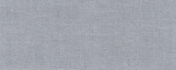 Pinpoint Oxford | Two Ply 100% Cotton | Platinum Gray