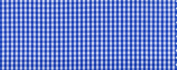 Broadcloth | 100% Cotton | Blue Gingham