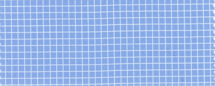 Pique | 100x100 | 100% Cotton | Blue Reverse Graph Check