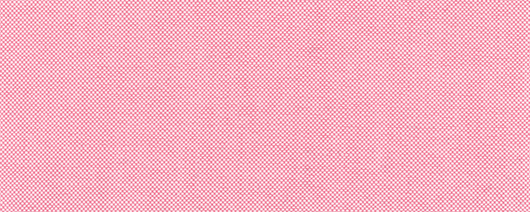 Oxford | 100% Two Ply Cotton | Pink